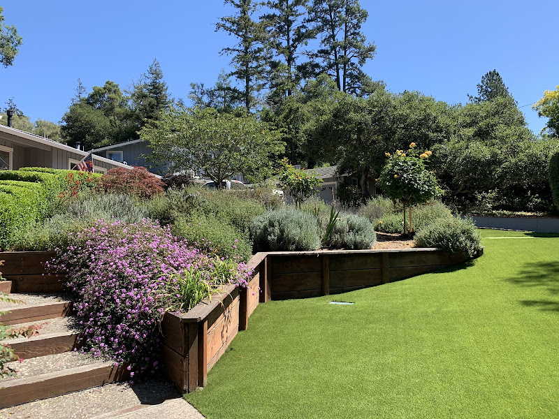 Flathead Turf & Landscape