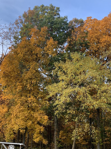 Beach More Worry Less