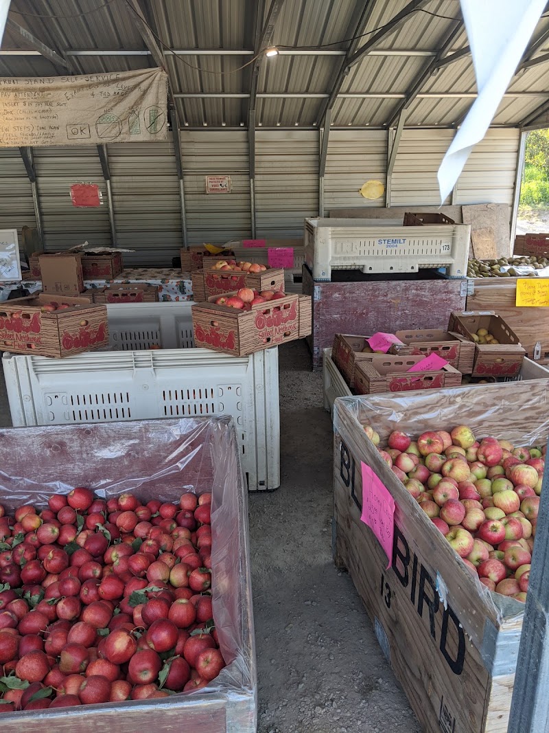 Just-A-Little Fruit Stand photo