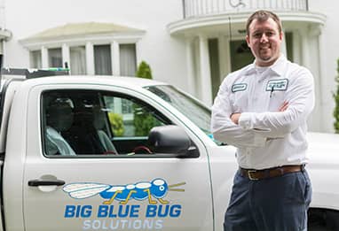 Big Blue Bug Solutions