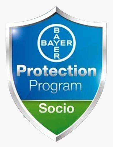 Eco Fumigaciones - Pest control service in Col