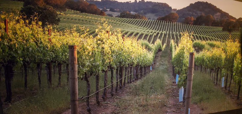 Cooper’s Hawk Winery & Restaurant