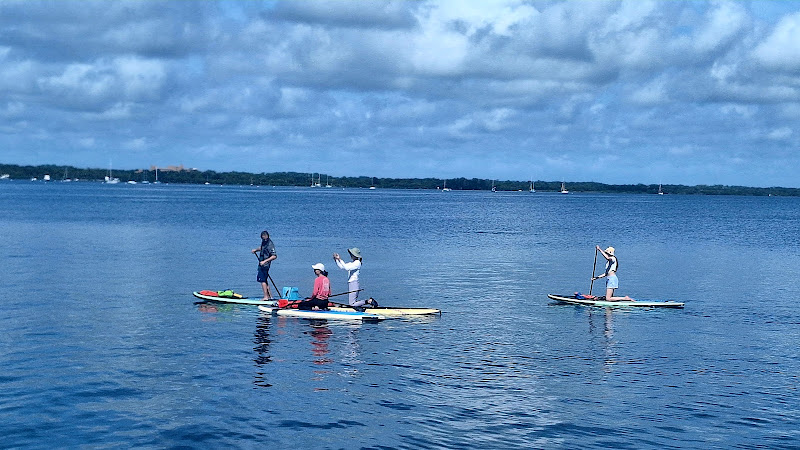 Savvy Paddles Clear Kayaking & Paddleboard Tours