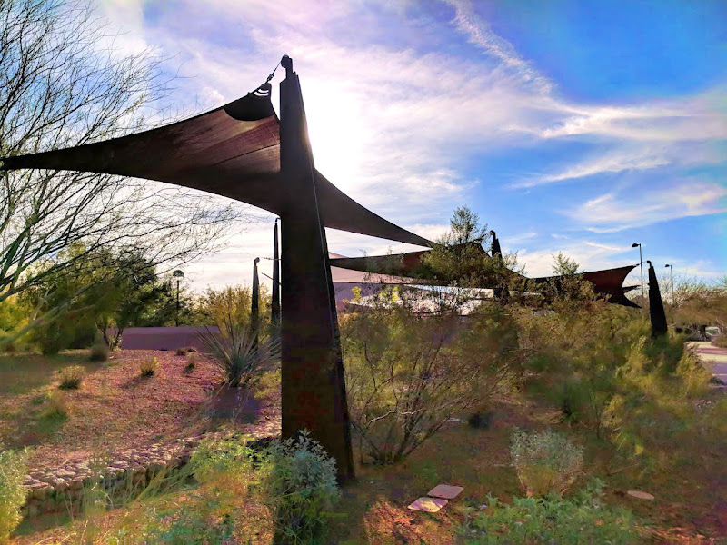 Scottsdale Xeriscape Garden