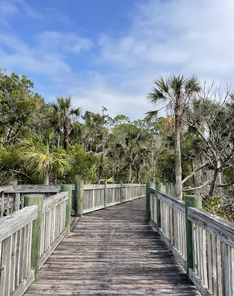 Spruce Creek Preserve - Nature preserve in New Smyrna Beach