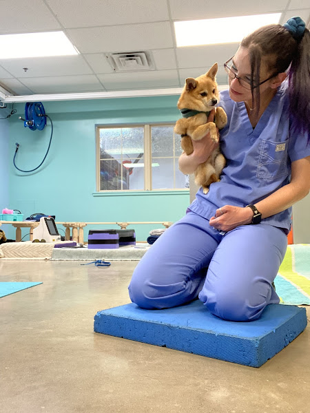 Central Texas Veterinary Speciality and Emergency Hospital
