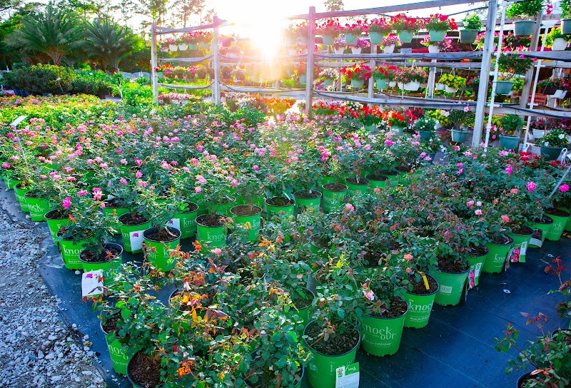 Holiday's Nursery & Landscaping photo