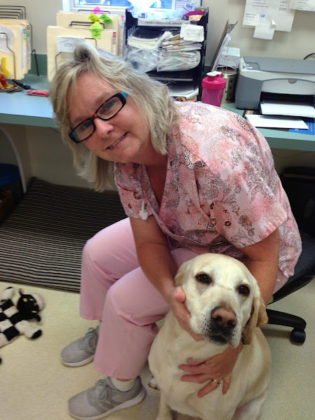 James Island Veterinary Hospital - Animal hospital in Charleston