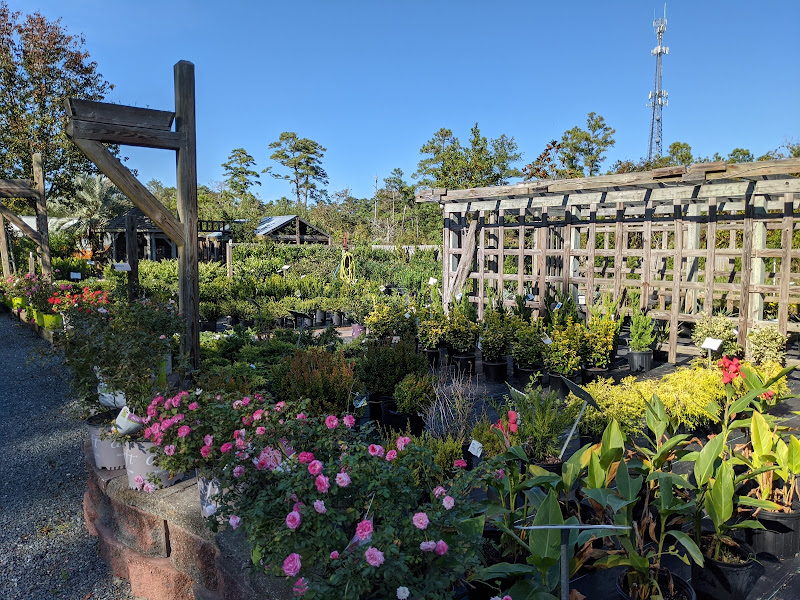 Kitty Hawk Garden Center - Garden center in Kitty Hawk