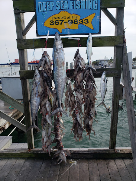 Miss Pass-A-Grille Deep Sea - Fishing charter in St Pete Beach