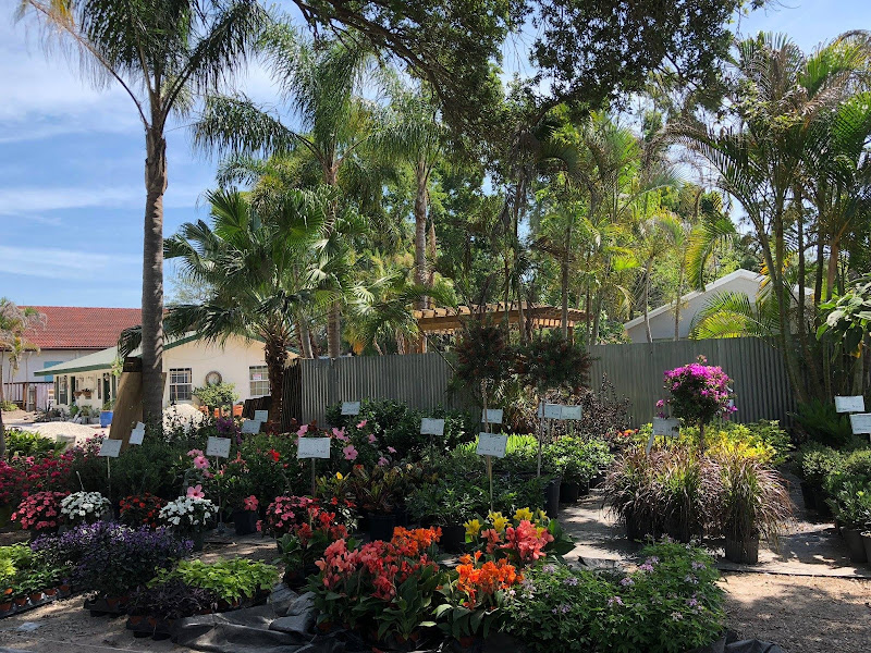 Terranova Landscapes and Landscaping Designs Tampa, Pinellas County, Landscape Installation and Garden Center - Landscape architect in Clearwater