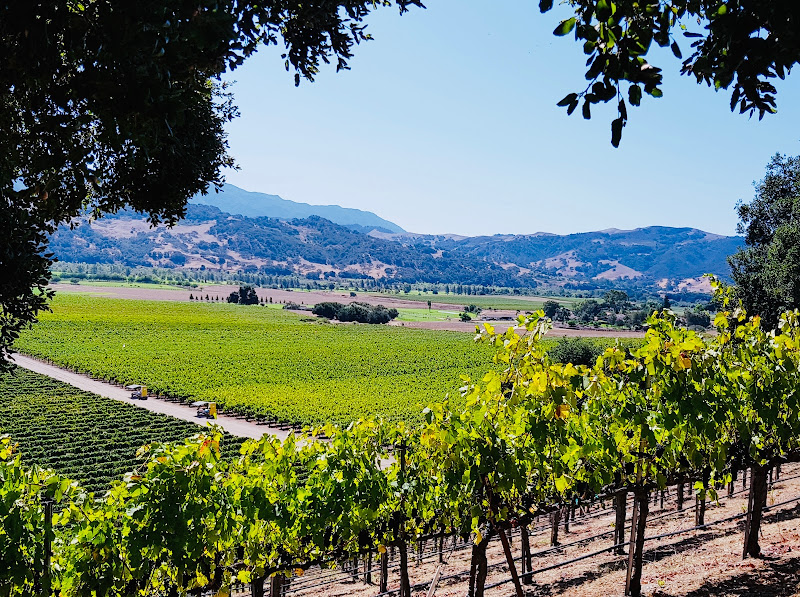 Jalama Wines - Winery in Palm Springs