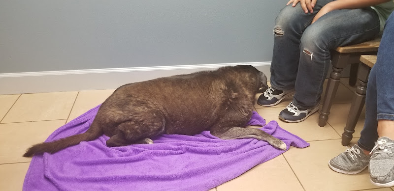 Spanish Trail Veterinary Hospital