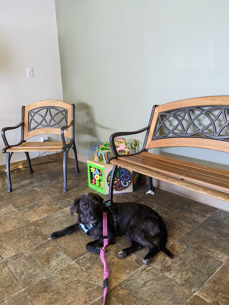 Four Paws Veterinary Center photo