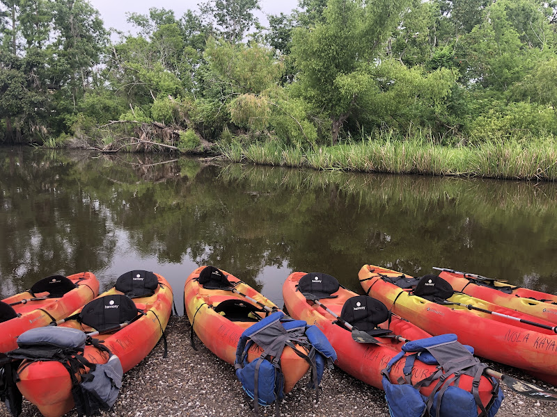New Orleans Kayak Swamp Tours