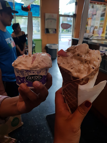 Amy's Ice Creams