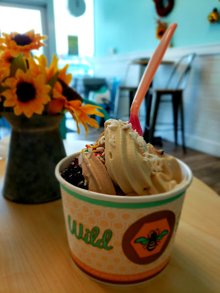 Wild Honey Frozen Yogurt - Pensacola, FL