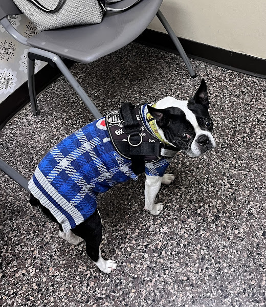 Hillsboro Animal Hospital & Pet Resort