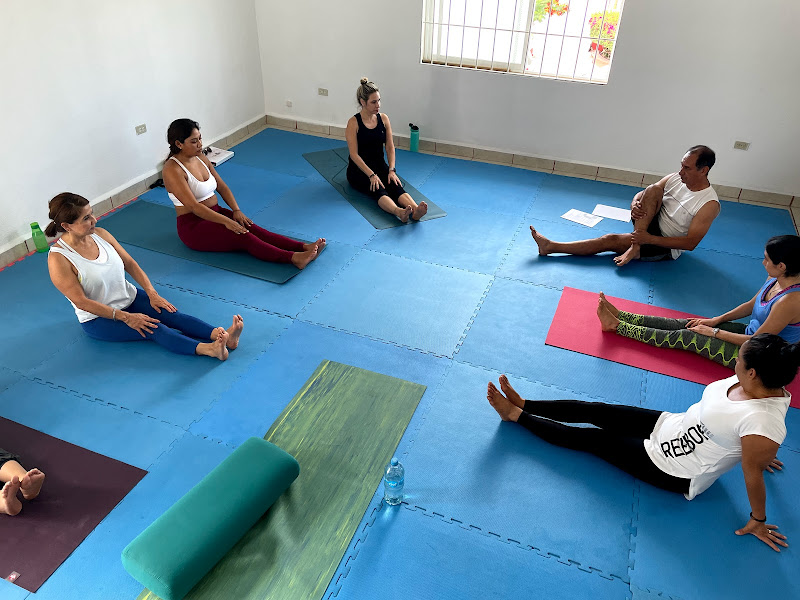 Healing Yoga Cabo - Yoga studio in COL. JACARANDAS