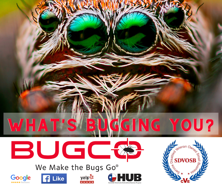 BUGCO Pest Control