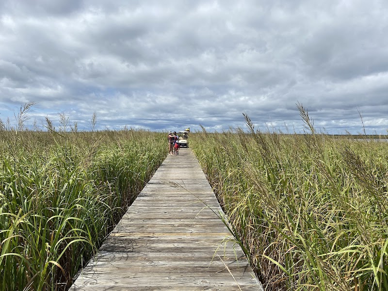 Coastal Explorations photo