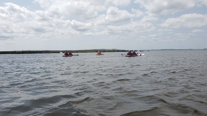 Coastal Explorations photo