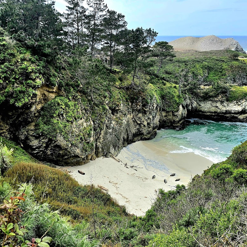 Point Lobos State Natural Reserve - State park in CA 93923