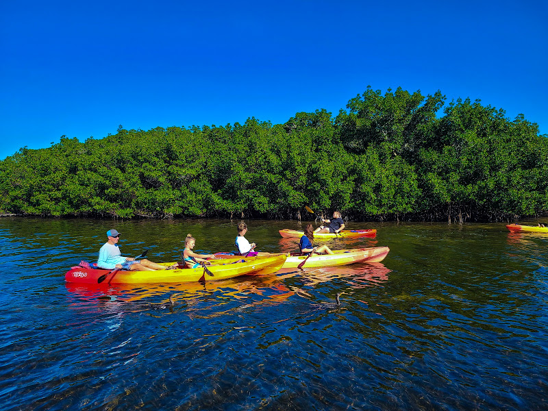 SURFIT USA | Kayaks, Paddleboards & Surf - Canoe & kayak tour agency in Sarasota