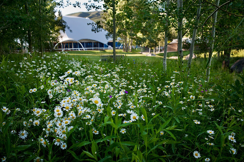 Aspen Music Festival and School - Live music venue in Aspen