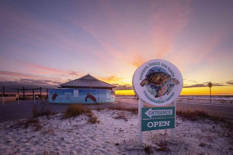 Navarre Beach Sea Turtle Conservation Center