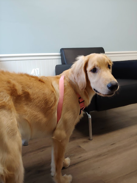 Crossroad Animal Hospital