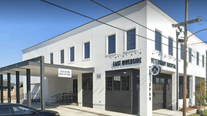 East Riverside Veterinary Hospital - Veterinarian in New Orleans