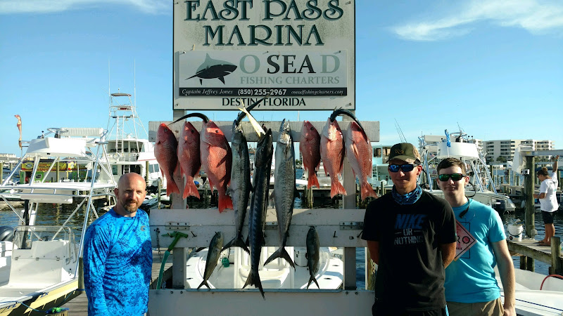 O Sea D Fishing Charters - Fishing charter in Destin