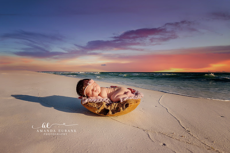 Amanda Eubank Photography - Photographer in Destin