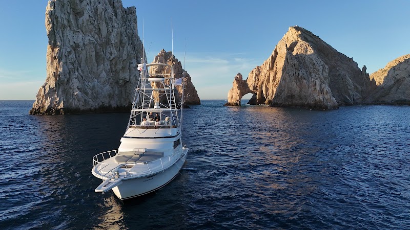 Cabo Marlini Sportfishing Charters - Fishing charter in Centro