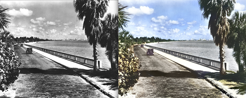 Golden Triangle Tampa