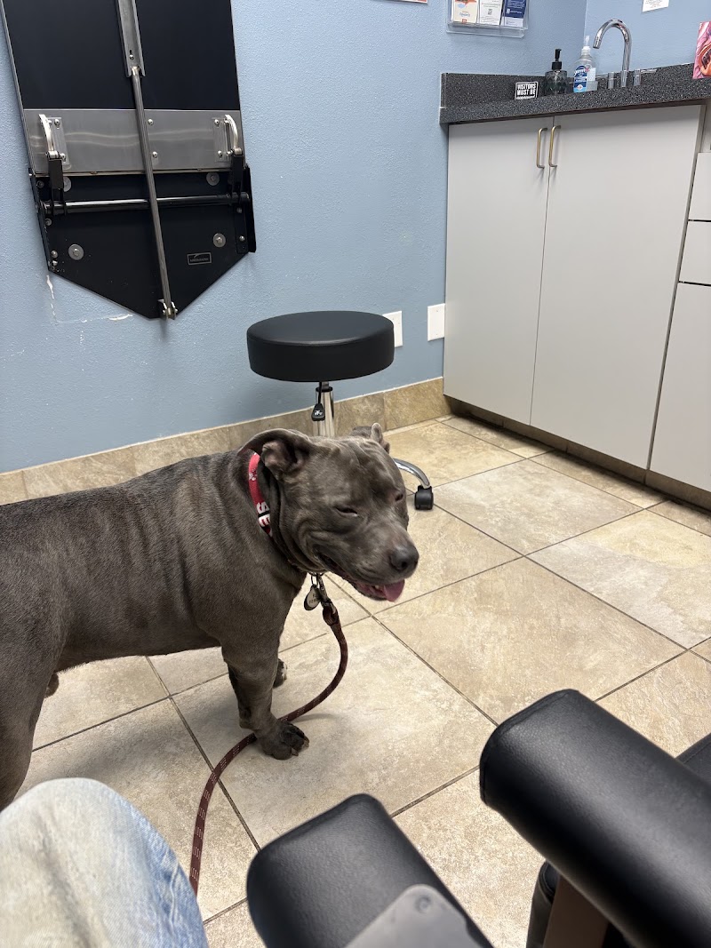 Austin Veterinary Diagnostic Hospital photo