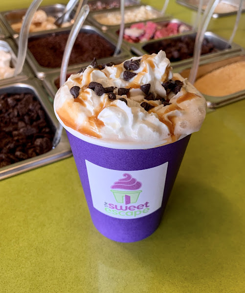 The Sweet Escape - Frozen yogurt shop in Asheville