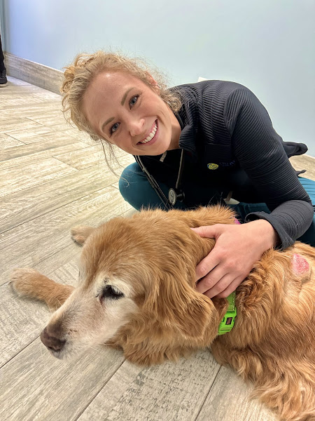 Shores Animal Clinic