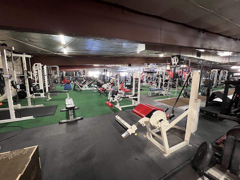 Iron Hawaiian Fitness