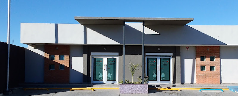 Estrada Family Dentistry - Dentist in Av. Juan de la Barrera
