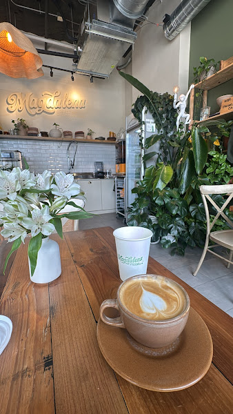 Magdalena Coffee & Houseplants