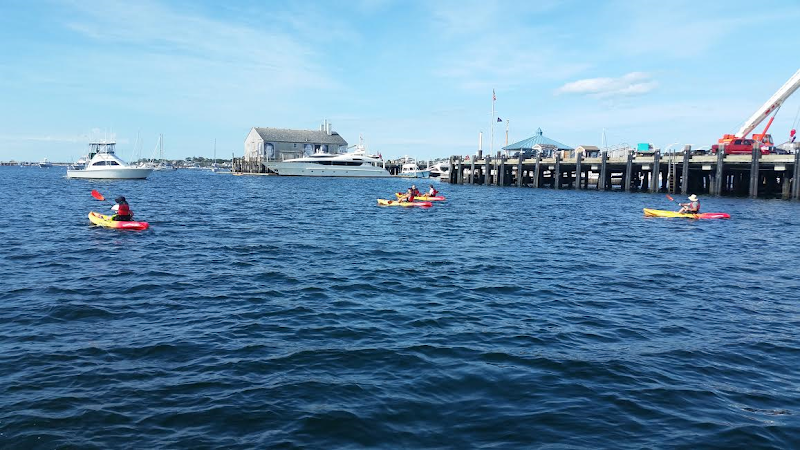Coyote Kayaks - Canoe & kayak rental service in Provincetown