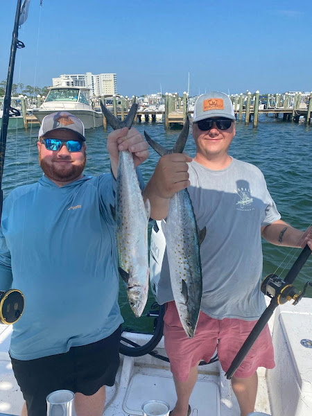 Wild Red Charters - Fishing charter in Orange Beach