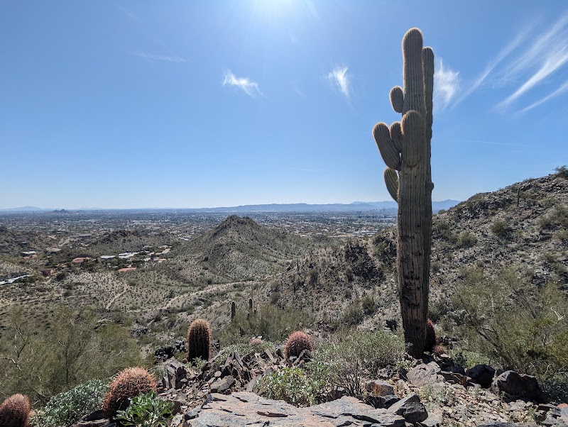 Phoenix Mountains Preserve photo