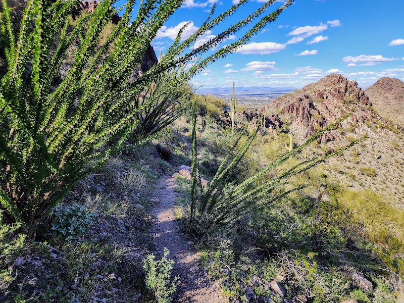 Phoenix Mountains Preserve photo