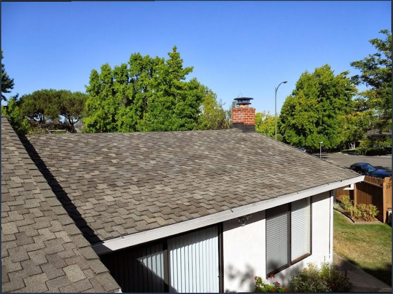 Andrew & Sons Roof Repair