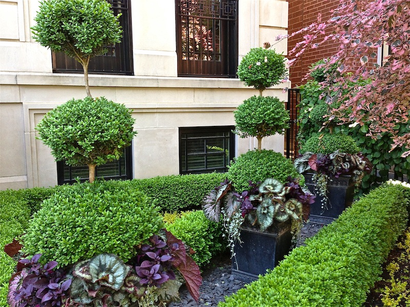 Botanical Concepts Chicago - Landscaper in Chicago