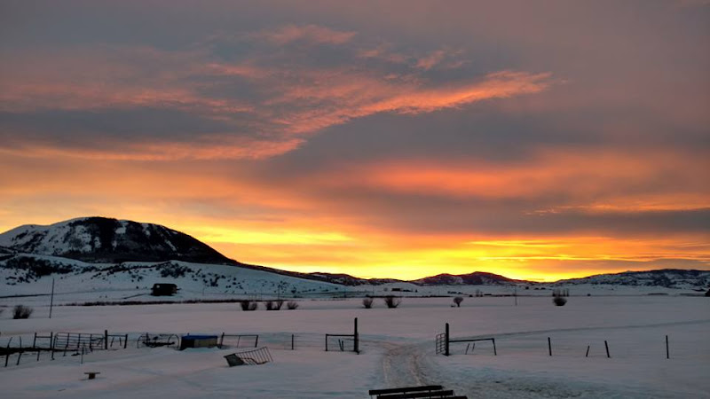Colorado Premier Outfitters - Hunting club in Steamboat Springs