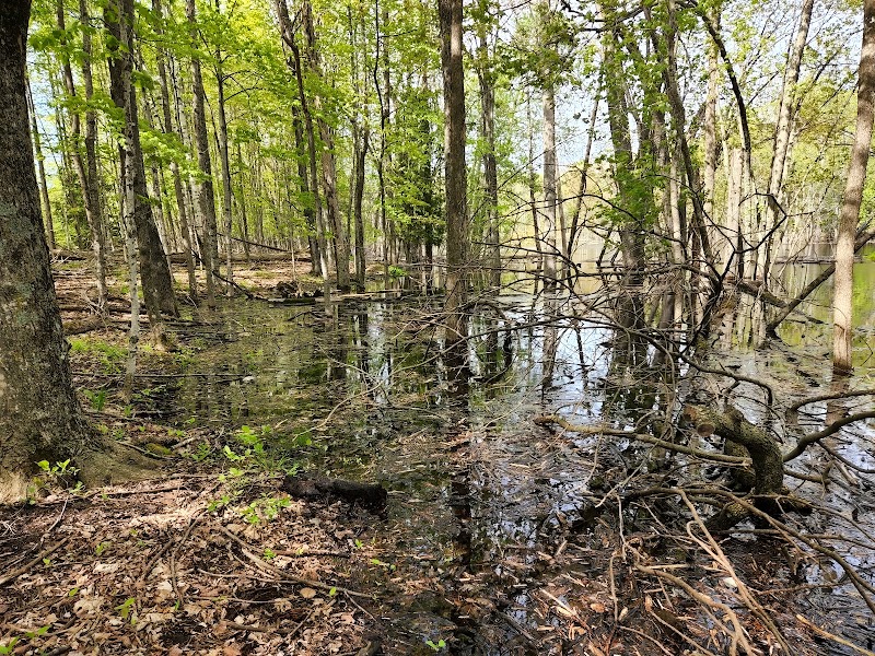 Ephraim Preserve at Anderson Pond - Nature preserve in Ephraim